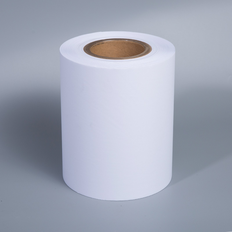 White euismod Release Paper