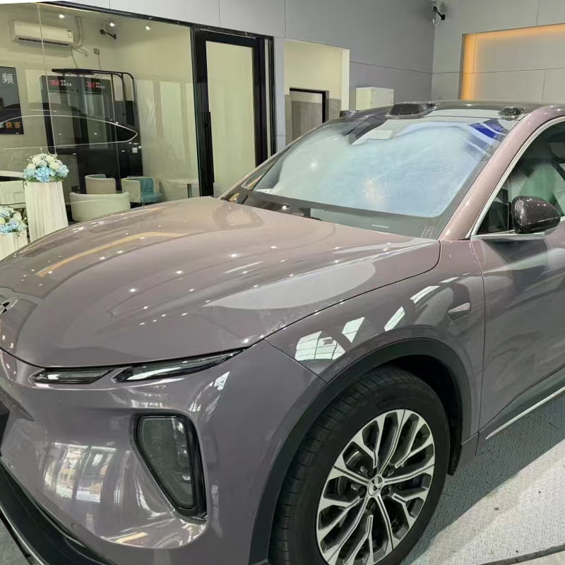 Car Poena Praesidium