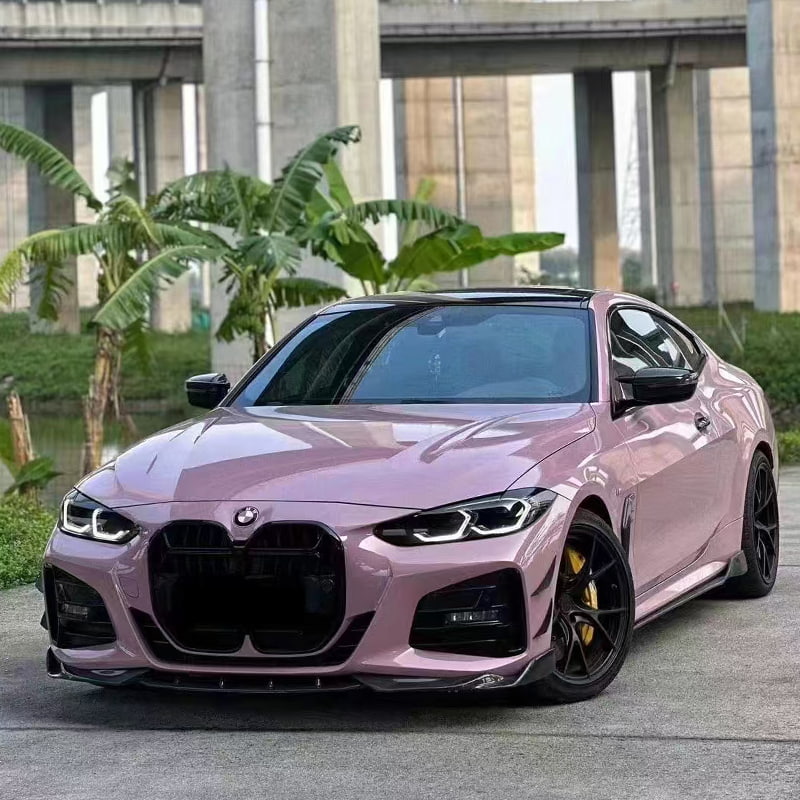 Car Poena Praesidium