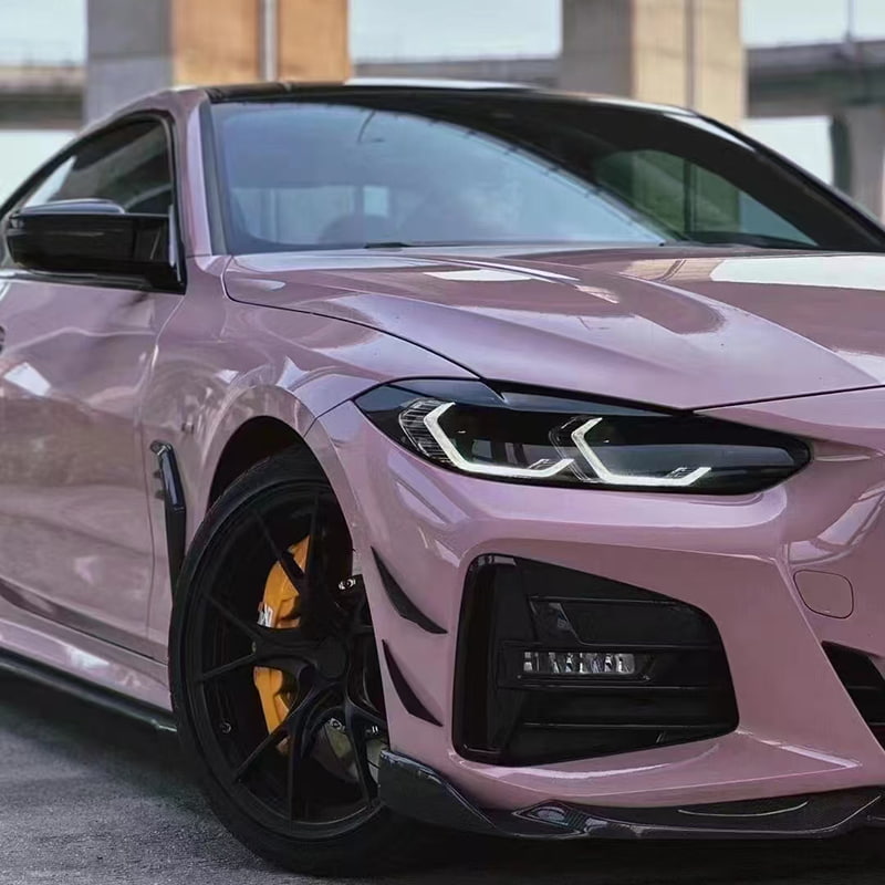 Car Poena Praesidium