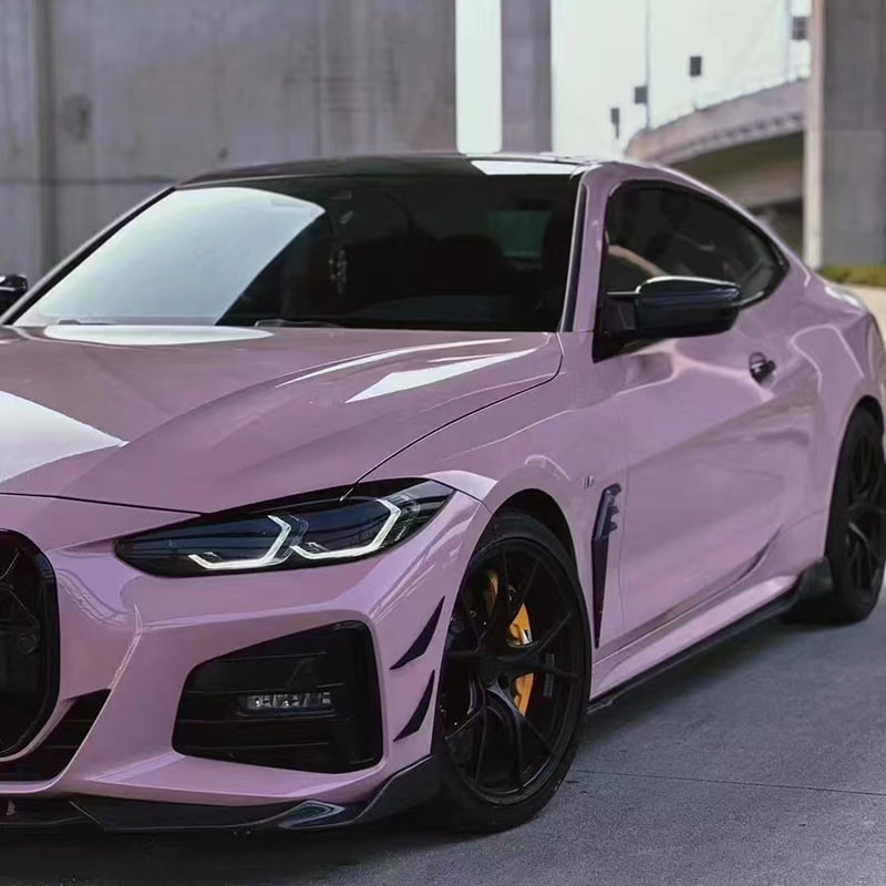 Car Poena Praesidium